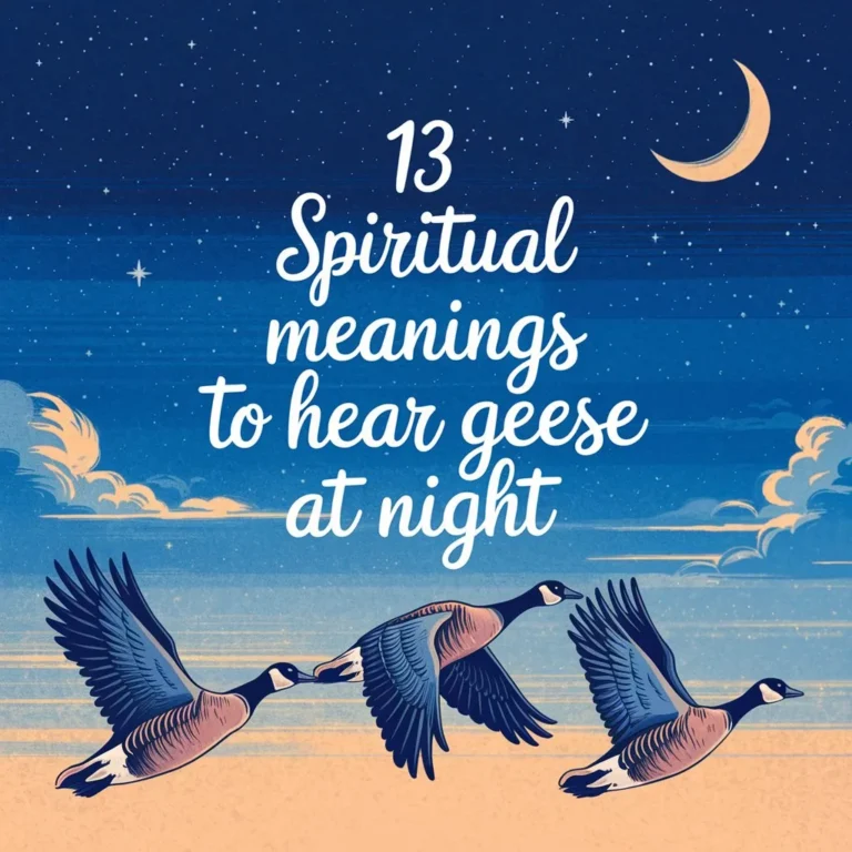 13 Spiritual Meanings To Hear Geese at Night: Unraveling the Symbolism of Spiritual Secret