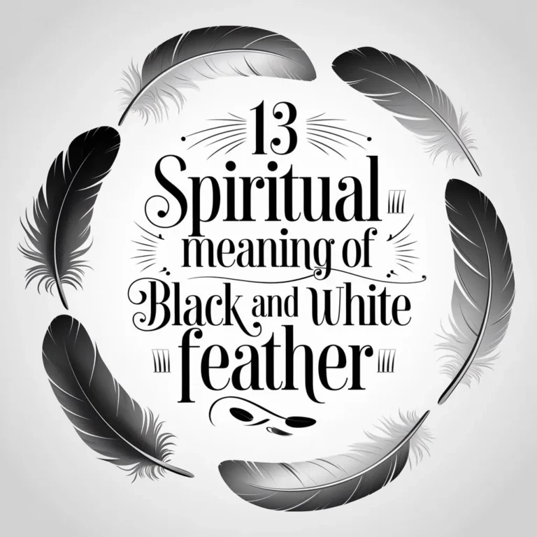 13 Spiritual Meaning of Black and White Feather: Understanding the Secrets